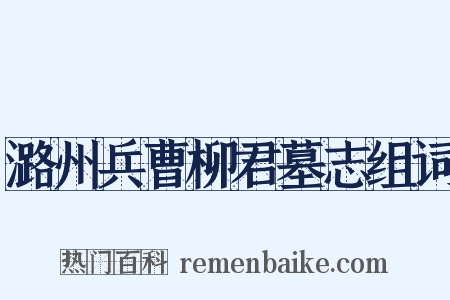 潞州兵曹柳君墓志组词是什么意思的图片